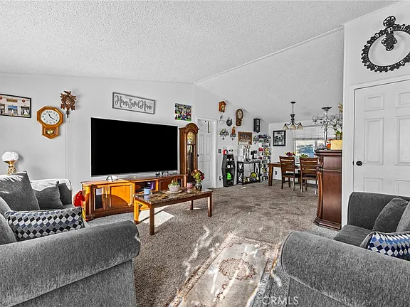 Rare 4BR/2BA Manufactured on 6 Acres – Red Mountain Rd Hemet - Photo 6