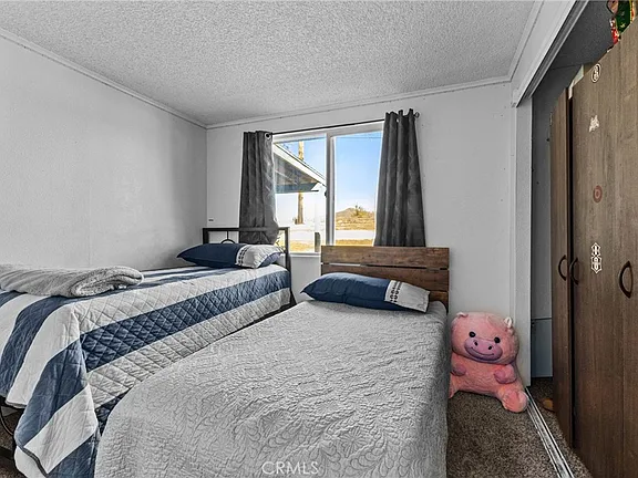 Rare 4BR/2BA Manufactured on 6 Acres – Red Mountain Rd Hemet - Photo 10