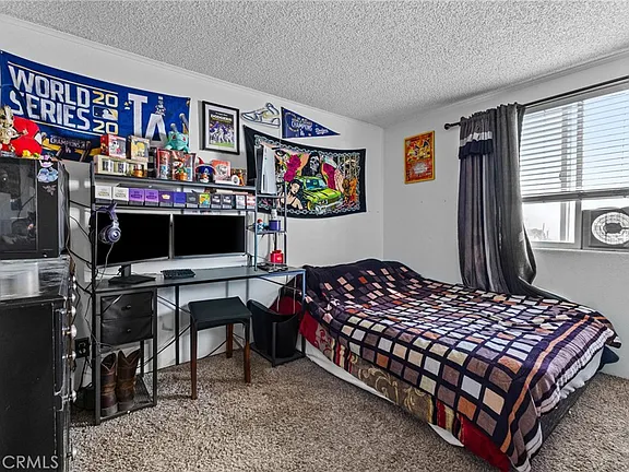 Rare 4BR/2BA Manufactured on 6 Acres – Red Mountain Rd Hemet - Photo 11