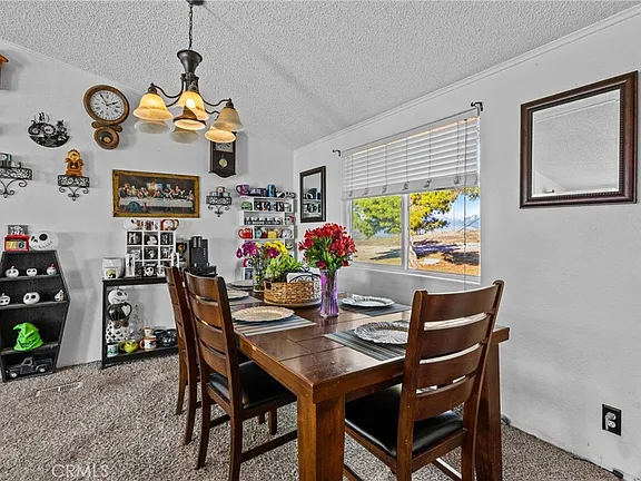 Rare 4BR/2BA Manufactured on 6 Acres – Red Mountain Rd Hemet - Photo 15